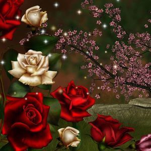 Meet your Posher, Solette